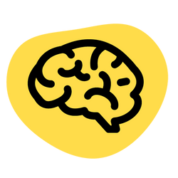 Spirulix Müsli fürs Gehirn, Geist & kognitive Fähigkeiten