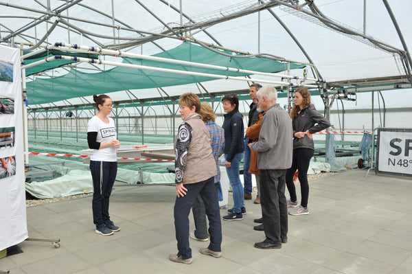 Unser Rückblick auf den 1. Tag der offenen Algenfarm
