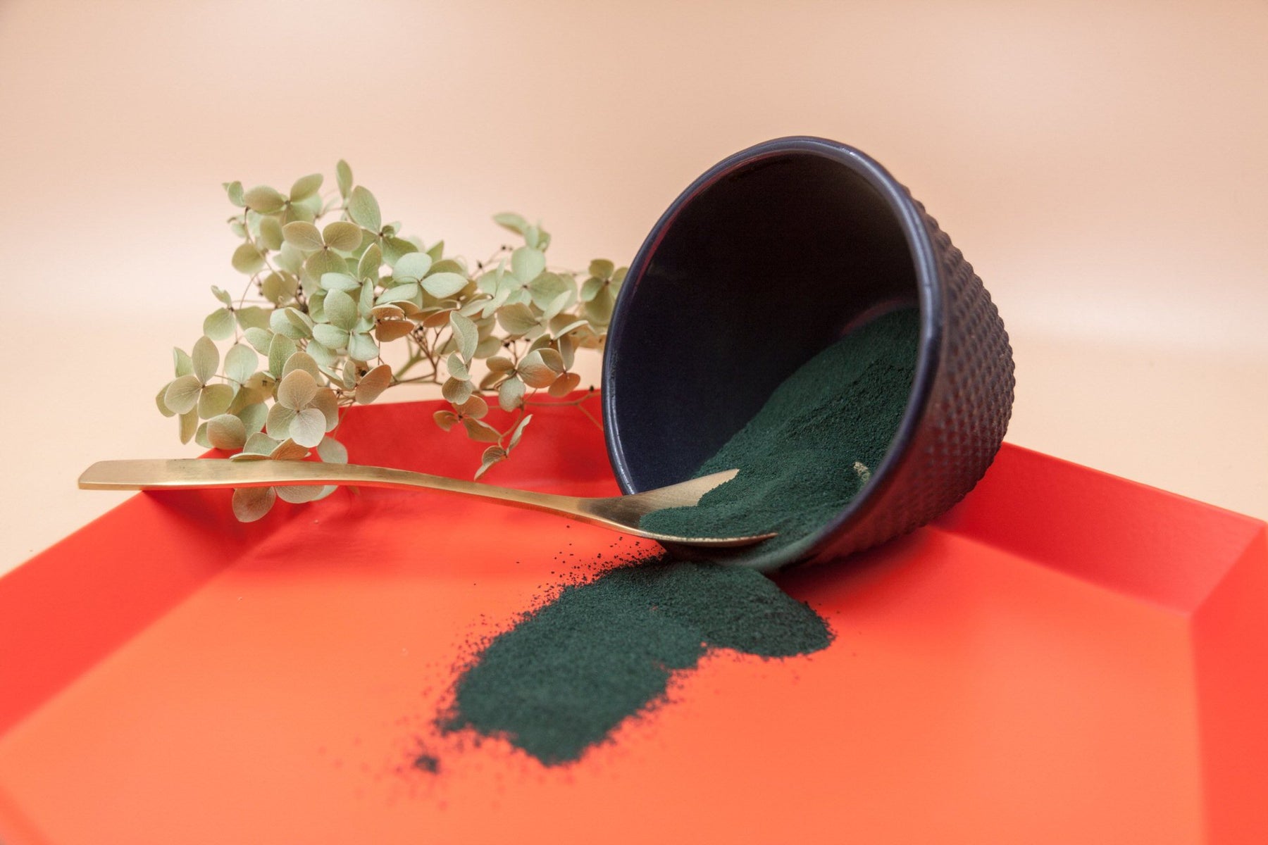 Spirulina Superfood kaufen