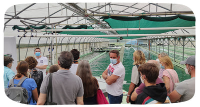 Tage der offenen Tür auf der Spirulix-Algenfarm in Sitzenberg-Reidling
